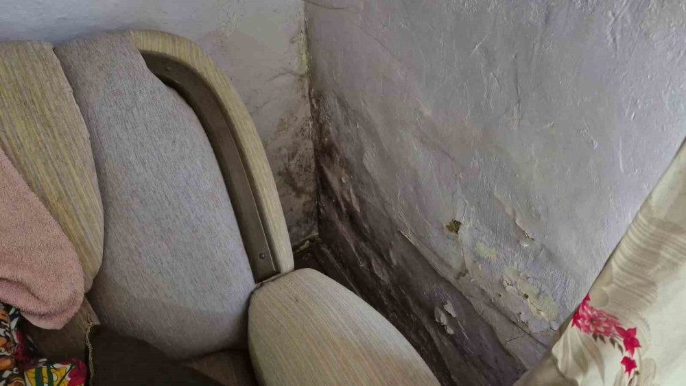 Muhtardan Örnek Davranış