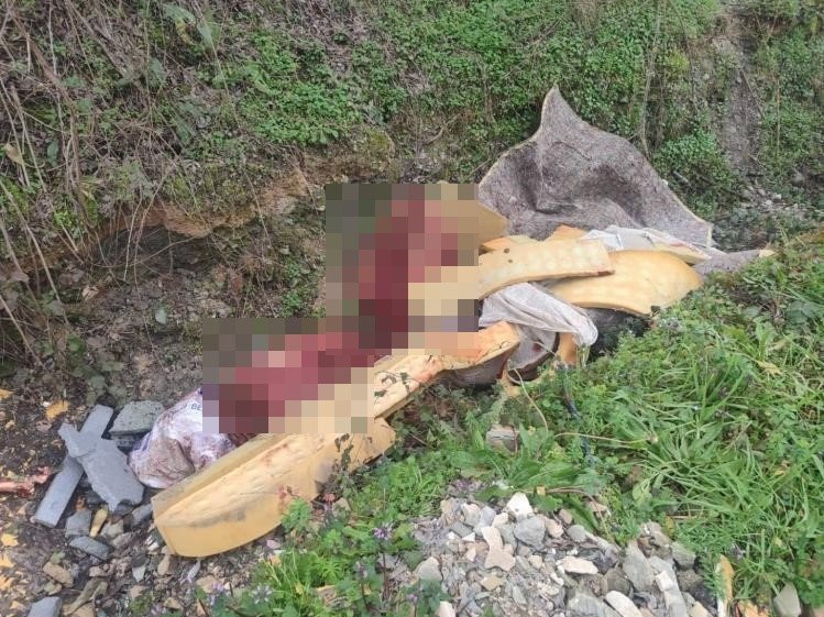 Otoyol Kenarındaki Kemikler Jandarmayı At Kasaplarına Götürdü