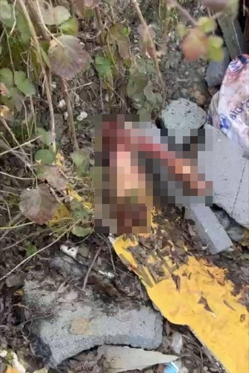 Otoyol Kenarındaki Kemikler Jandarmayı At Kasaplarına Götürdü