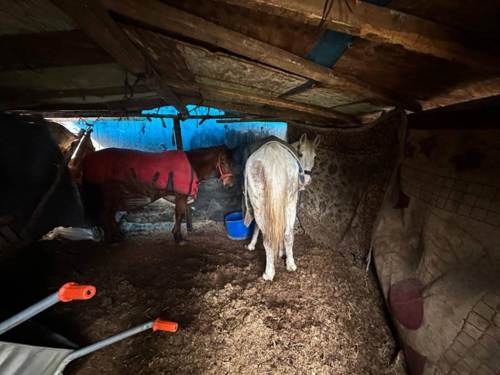 Otoyol Kenarındaki Kemikler Jandarmayı At Kasaplarına Götürdü