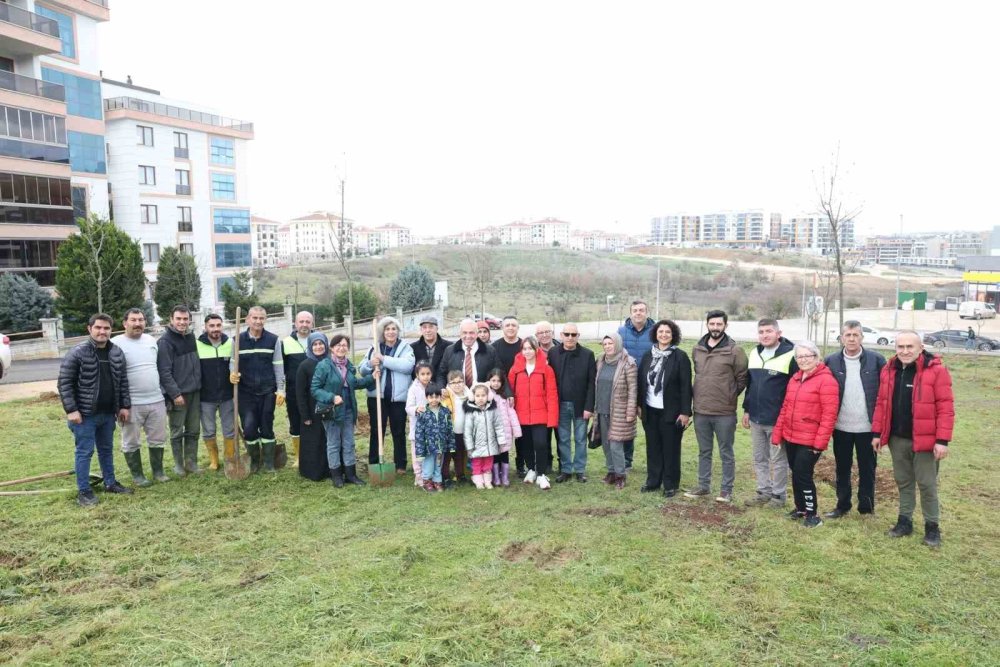 Belediye Başkanından Yeşil Alan Talebine Hızlı Cevap