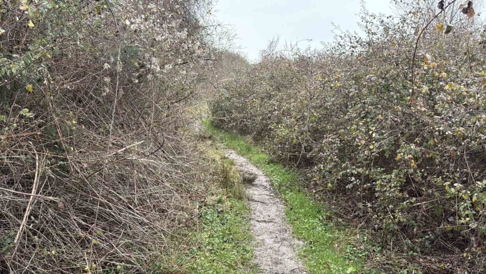 İki Gündür Haber Alınamayan Adamın Cansız Bedenine Ulaşıldı