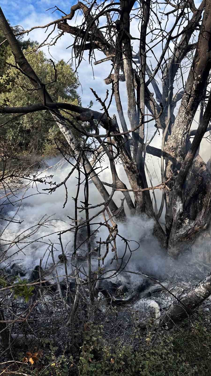 Çıkan Çalı Yangını Büyümeden Söndürüldü