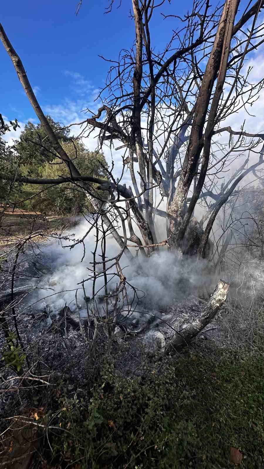 Çıkan Çalı Yangını Büyümeden Söndürüldü