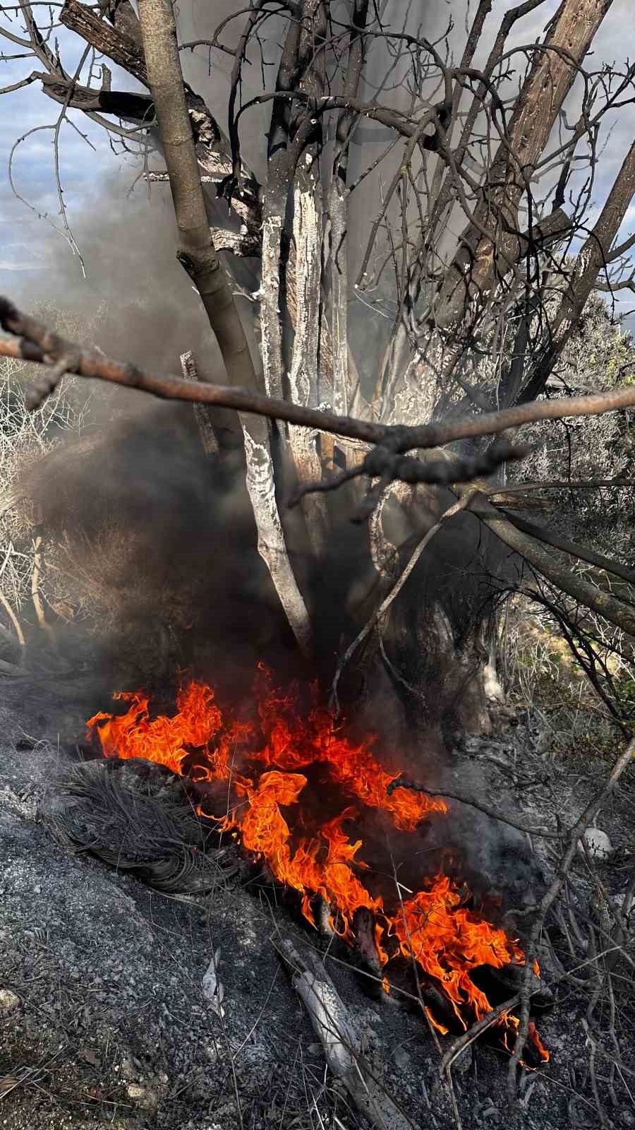 Çıkan Çalı Yangını Büyümeden Söndürüldü