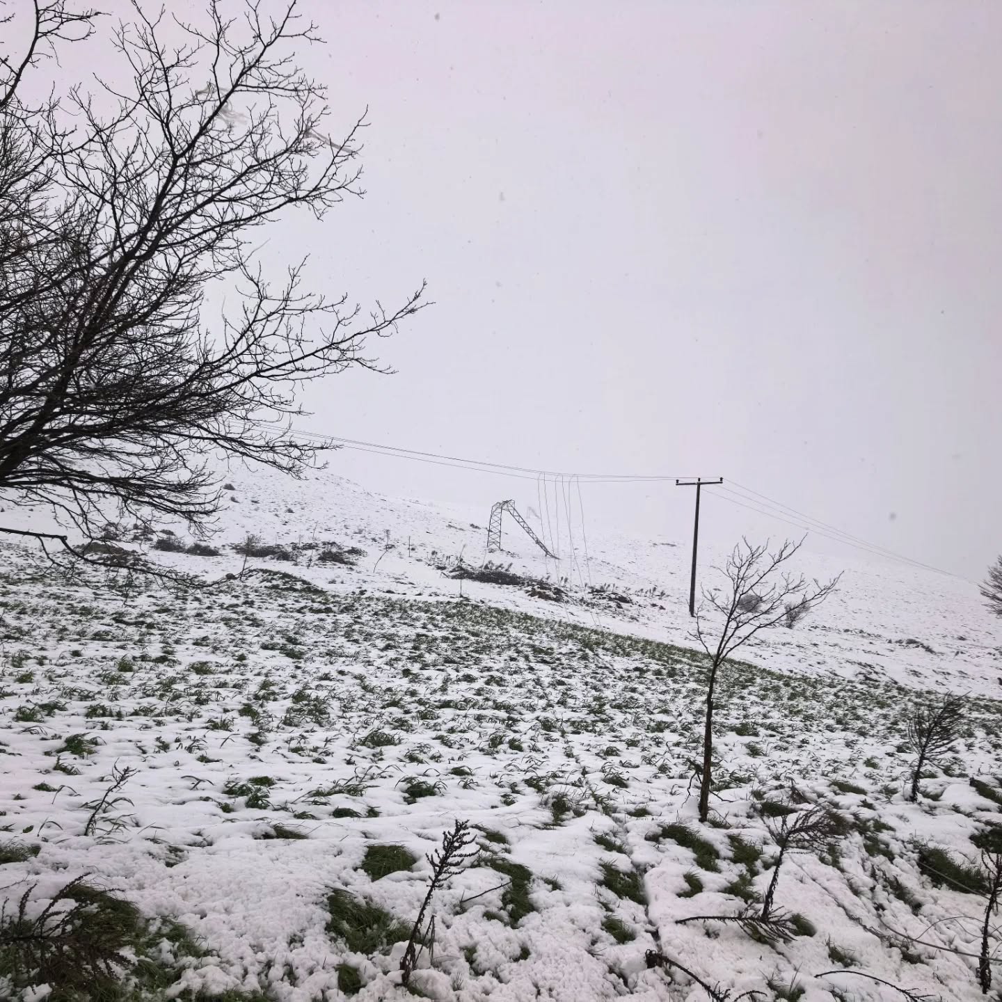 682247372-18421976767125744-6095677403439851941-n.jpeg