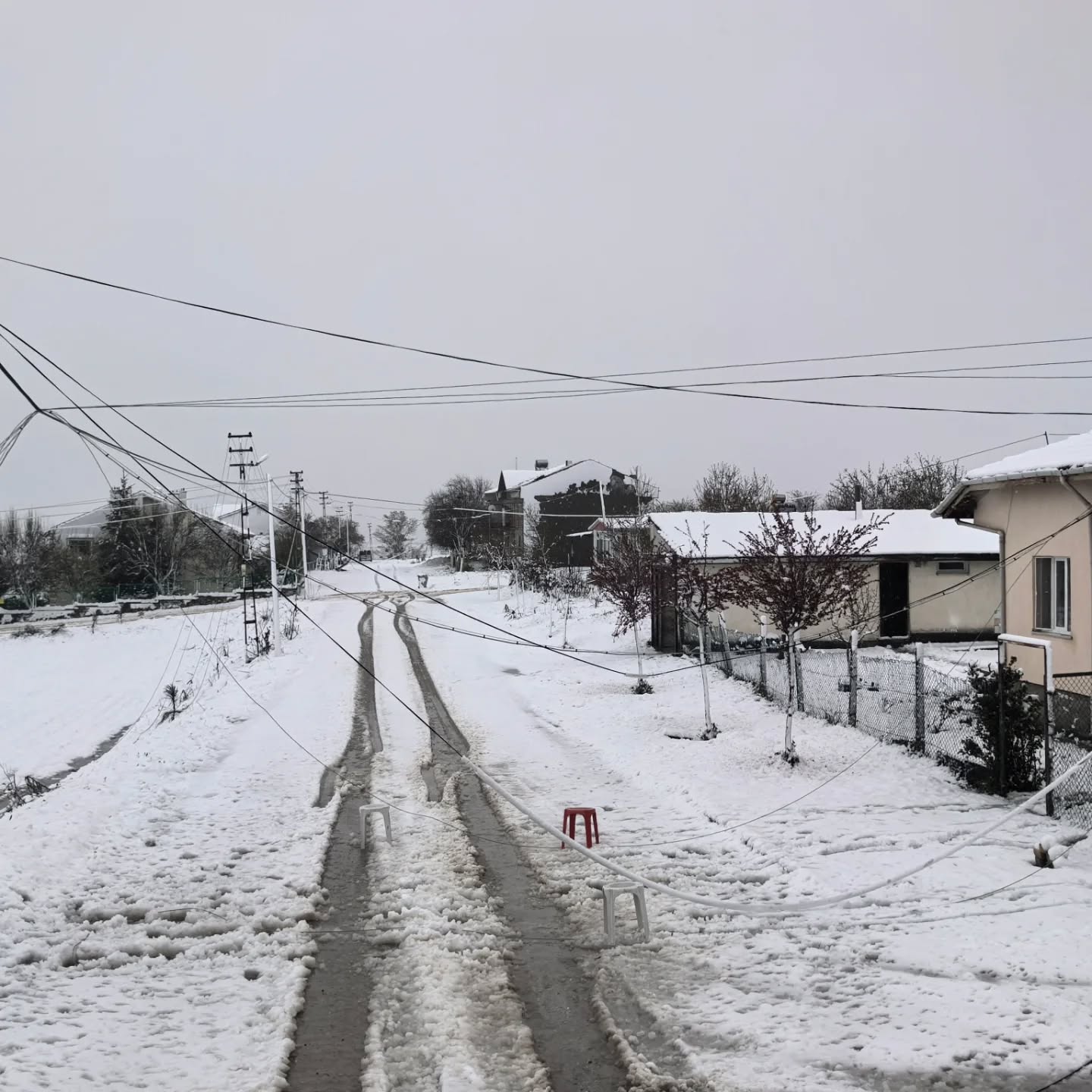 687529599-18421976776125744-6210746964969115397-n.jpeg