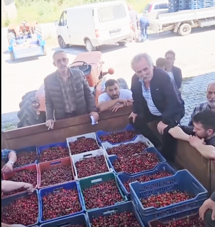 bilecikte-kiraz-borsasi-acildi1.jpg