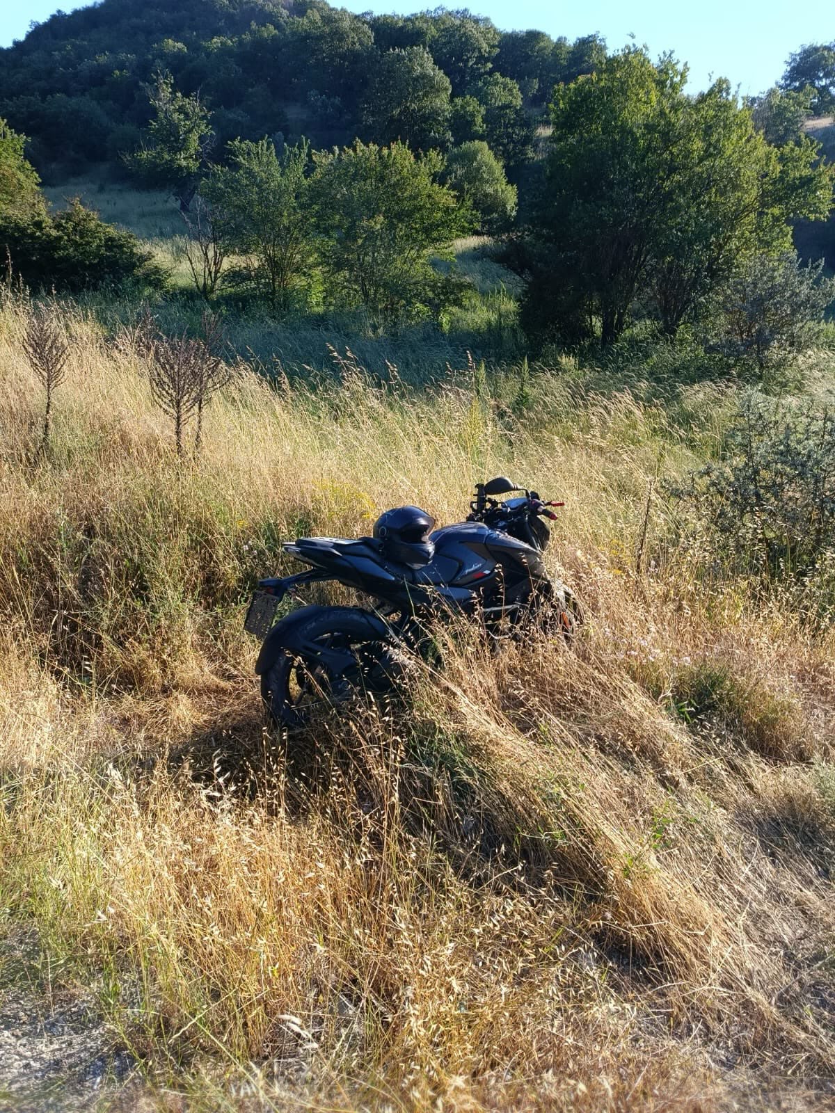a60e9020-5ca4-46d7-a92d-a5f5a0187090.jpeg