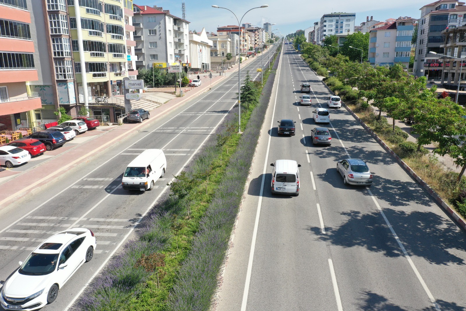 bilecik-belediyesi-lavanta-odul.jpeg
