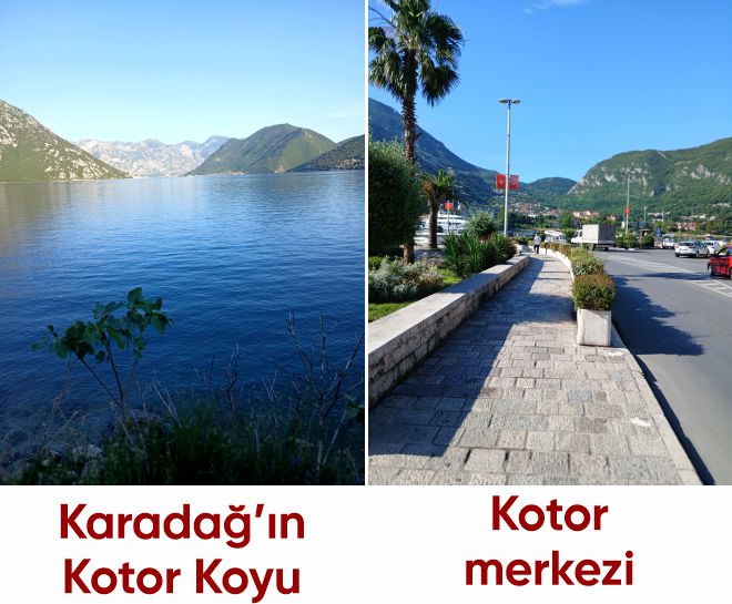 kotor.jpg