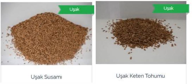 usak-modeli.jpg