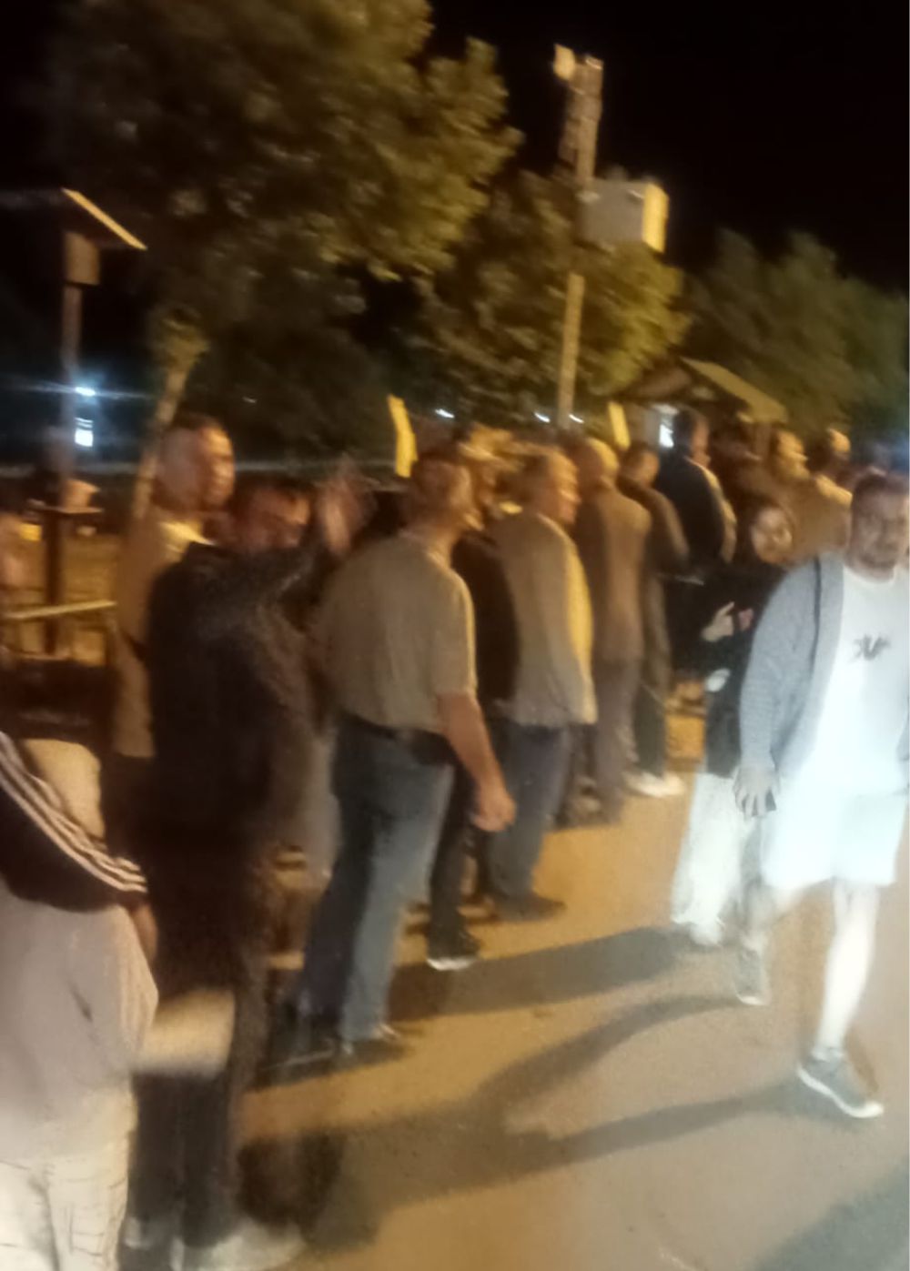 arac-kuyrugu-bitti1.jpg
