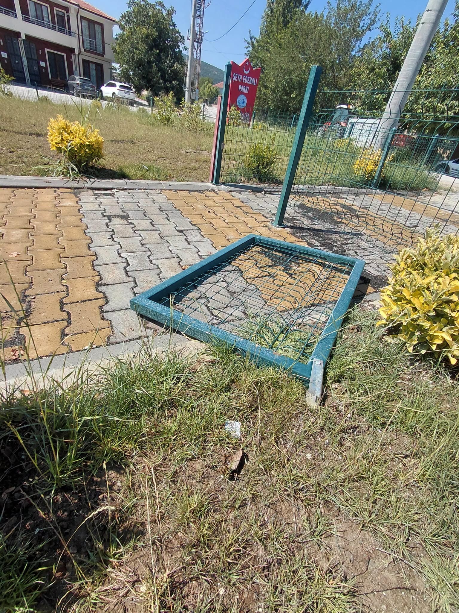 park11.jpg