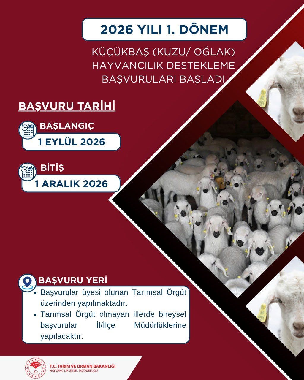 kucukbas.jpg