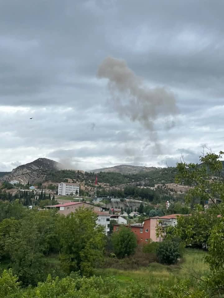 vezir.jpeg