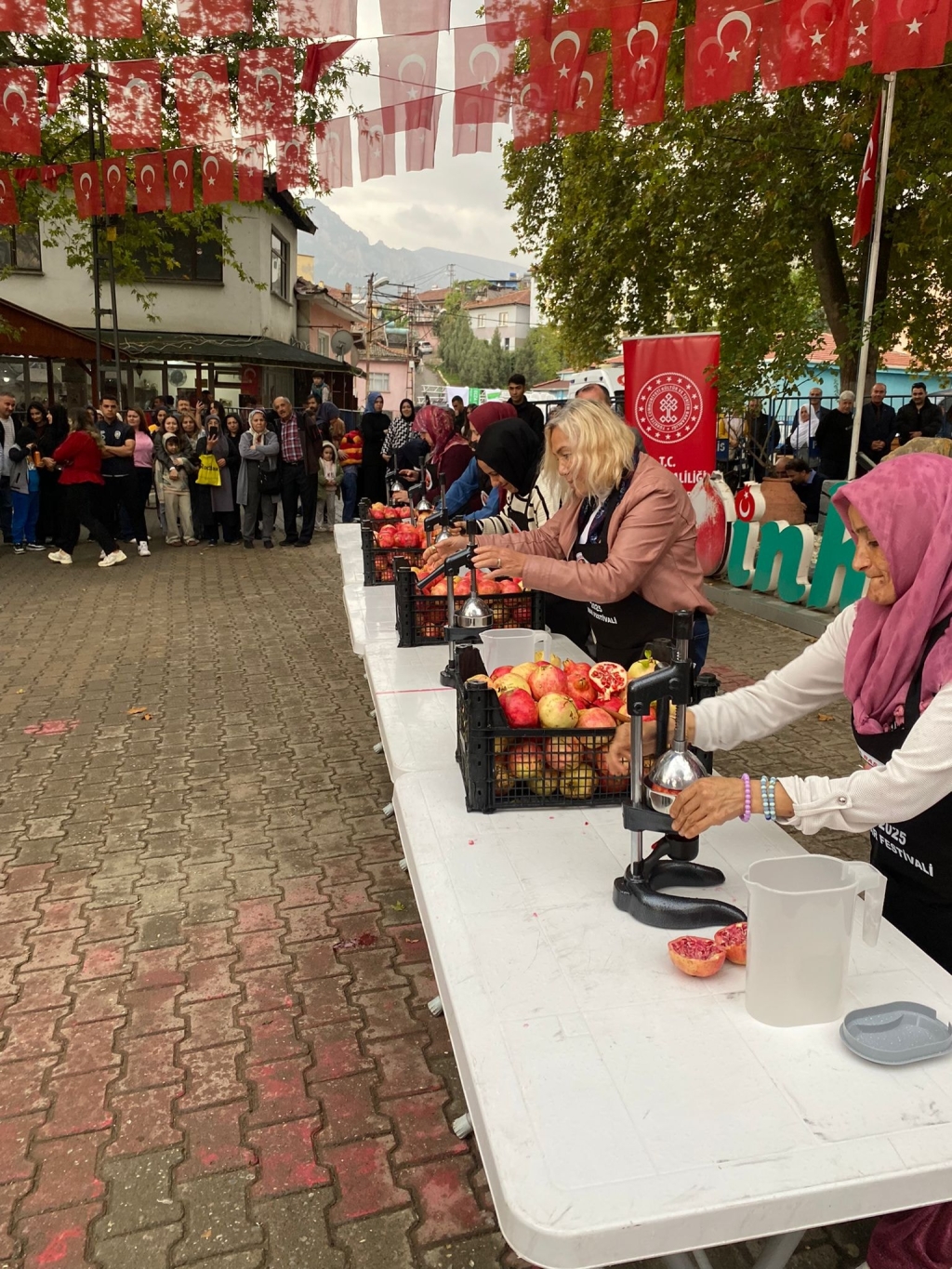 nhisar-nar-festivali-30-ekimde-jpg.jpeg