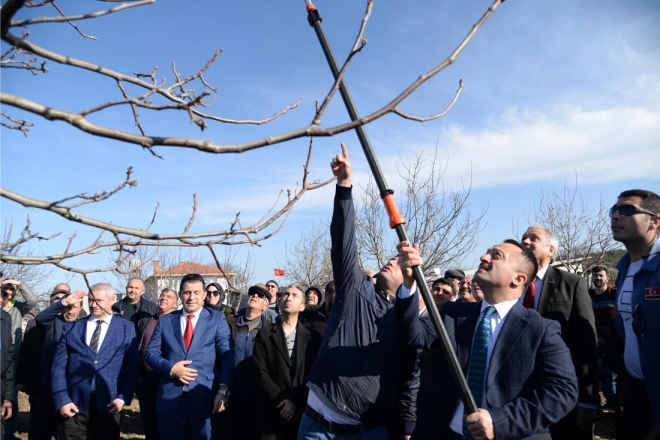 ceviz-budama-etkinligi-yapildi4.jpg