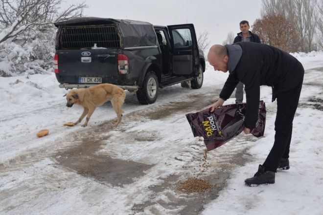 sahipsiz-kopekler-belediyenin-korumasinda2.jpg