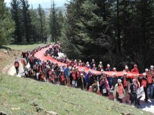 BOZÜYÜK METRİSTEPE YÜRÜYÜŞÜ