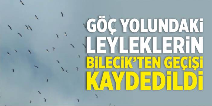 Göç yolundaki leyleklerin Bilecik’ten geçişi kaydedildi