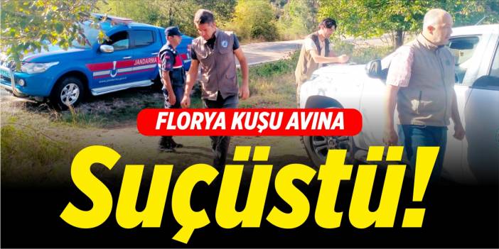 Florya kuşu avına suçüstü