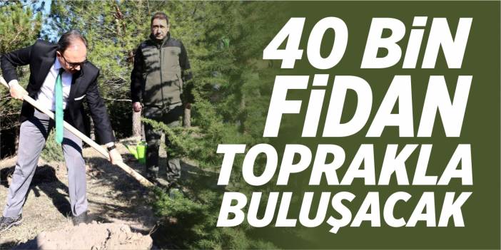 40 bin fidan toprakla buluşacak