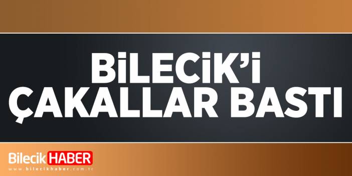 Bilecik'i çakallar bastı