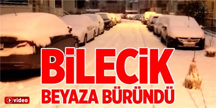 Bilecik beyaza büründü